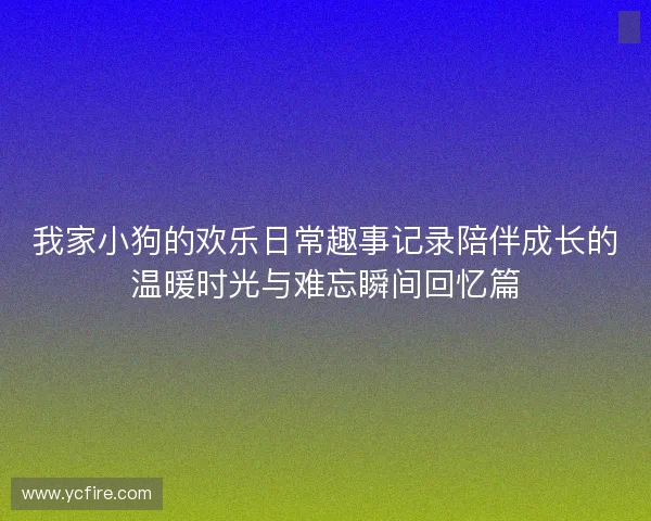 我家小狗的欢乐日常趣事记录陪伴成长的温暖时光与难忘瞬间回忆篇